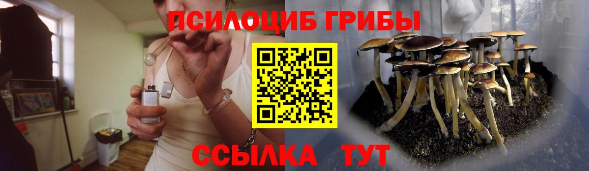Псилоцибиновые грибы Cubensis Новочеркасск